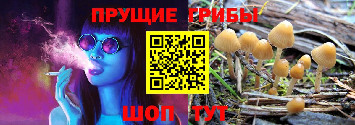 Псилоцибиновые грибы Psilocybine cubensis  Вход с VPN  Черногорск  Галлюциногенные грибы Cubensis 